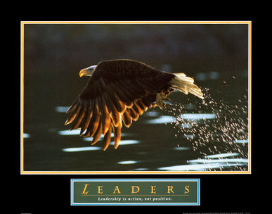 Leaders: Bald Eagle