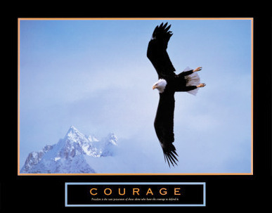 Courage: Bald Eagle