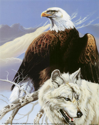 Eagle and Wolf