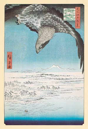 Eagle Flying over the Fukagama District