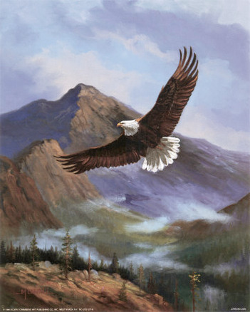 Eagle Gliding