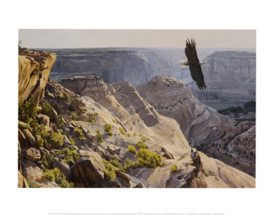 Bald Eagle over Canyon de Chelley