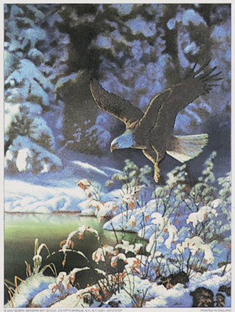 Eagle in Winter Scene