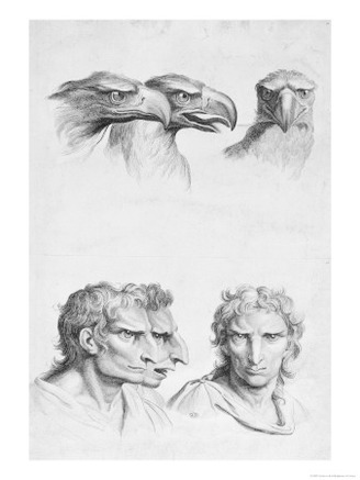Similarities Between the Head of an Eagle and a Man