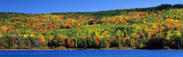 Autumn Eagle Lake, Acadia National Park, Maine, USA