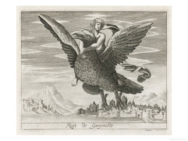 Zeus Ganymede Eagle