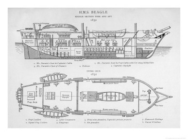 Hms Beagle Charles Darwin's Research Ship