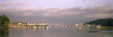 Ferries Moored at a Harbor, Eagle Harbor, Bainbridge Island, Seattle, Washington State, USA