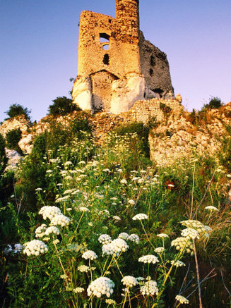 Ruined Castle on Eagle's Nest Trail, Mirow, Malopolskie, Poland