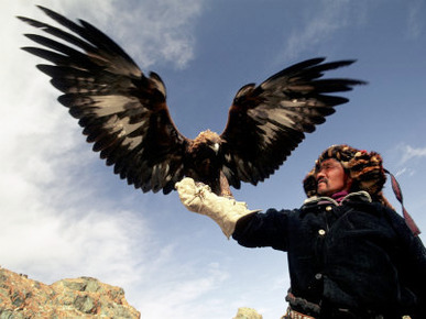 Takhuu Raising His Eagle, Golden Eagle Festival, Mongolia
