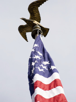 The Eagle Atop the American Flag Outside of Independence Hall